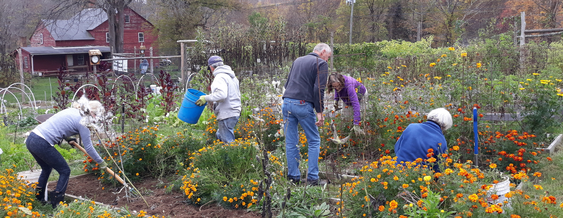 Judea Garden Fall Clean Up - Saturday